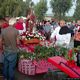 Pabillonis-Festa campestre di San Lussorio: il processione