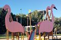 Palmas Arborea-Parco dei Fenicotteri: i quattro grandi fenicotteri