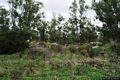 Palmas Arborea-resti del nuraghe semplice Pranu Forru