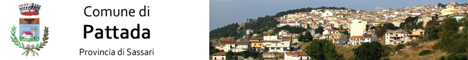 Visita del sito istituzionale del comune