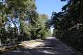 Pattada: la bella strada di accesso al paese