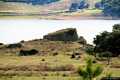 Pattada: il nuraghe lerno