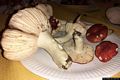Pau: i funghi del Monte Arci