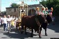 Pauli Arbarei: il processione nella festa di Sant’Agostino e San Giovanni Battista