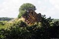 Paulilatino: il nuraghe Toroleo