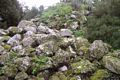 Paulilatino-resti del nuraghe Mura Cuada