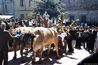 Perdasdefogu-La processione per la festa di Santa Barbara e di Sant’Isidoro