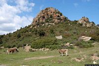 Perdasdefogu-Il parco Naturale di Bruncu Santoru Perdasdefogu-Il parco Naturale di Bruncu Santoru