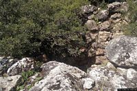 Perdasdefogu-Resti del nuraghe semplice San Pietro Perdasdefogu-Resti del nuraghe semplice San Pietro