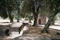 Perdaxius-San Leonardo: interno del parco di San Leonardo