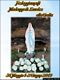 Pimentel-manifesto della festa della Madonna di Lourdes Pimentel-manifesto della festa della Madonna di Lourdes