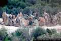 Olbia: il porto Rotondo: la statua della donna: cavallo nel parco della villa la Certosa