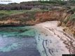 Porto Torres-Scoglio Ricco: la spiaggia in inverno invasa dalla Posidonia Porto Torres-Scoglio Ricco: la spiaggia in inverno invasa dalla Posidonia