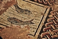 Porto Torres-Terme Centrali o Palazzo del Re Barbaro: i mosaici marini
