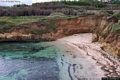 Porto Torres-La spiaggia dello Scoglio Ricco in inverno invasa dalla Posidonia