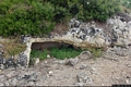 Porto Torres-Necropoli di Monte d’Accoddi: ingresso della Tomba II