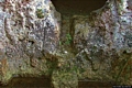 Porto Torres-Necropoli ipogeica di Ponte Secco: protomi all’interno della Tomba III Porto Torres-Necropoli ipogeica di Ponte Secco: protomi all’interno della Tomba III