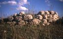 Posada-resti del nuraghe Pizzinnu
