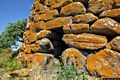 Pozzomaggiore-nuraghe semplice Ala: ingresso