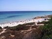 Pula: la spiaggia del Pinus Village