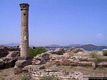 Scavi di Nora-tempio romano con una delle sei colonne che costituivano il pronao