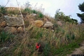 Quartu Sant’Elena-I pochi resti del nuraghe Su Forti Becciu