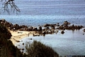 Quartu Sant’Elena-La seconda caletta della Baia Azzurra