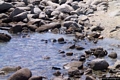 Quartu Sant’Elena-Scogli nel mare visti dalla sommità del promontorio di Is Mortorius