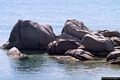 Quartu Sant’Elena-Scogli nel mare visti dalla sommità del promontorio di Is Mortorius