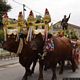 Samassi: la festa campestre di Sant’Isidoro Agricoltore