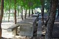 Samatzai: il parco di San Pietro