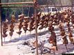 San Basilio-Sagra della pecora per la festa di San Giovanni Battista