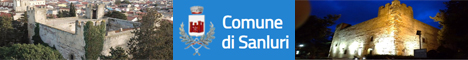Visita del sito istituzionale del comune