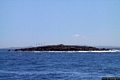 Carloforte-L’isola dei Ratti Carloforte-L’isola dei Ratti