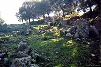 Santadi-Insediamento fenicio punico di Pani Loriga: veduta d’insieme