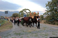 Santadi-Barrua: festa di Santa Maria di Monte Fracca