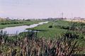 Santa Giusta-Veduta dello stagno di Santa Giusta