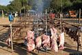 Santa Maria Navarrese: sagra della Carne di Capra