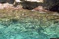 Le piscine naturali: le limpide acque della piscina di Venere