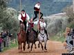 Sant’Andrea Frius: acrobazia a pariglia