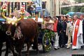 Sant’Andrea Frius: il processione per la festa di Sant’Isidoro