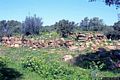 resti del nuraghe di Coi Casu