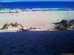 Sant’Anna Arresi-Rotolando tra le dune di Porto Pino