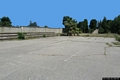 Sant’Antioco: i leoni di Sulci esposti nel Museo Archeologico