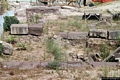 Sant’Antioco-scavi di resti del Cronicario