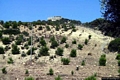 Sant’Antioco-Il nuraghe Feminedda