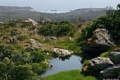 Sant’Antioco-Laghetto di Corongiu Murvonis