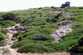 Sant’Antioco-L’insediamento di Grutt’i Acqua: linee di fortificazione difensiva