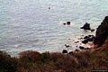Sant’Antioco-La costa verso Torre Cannai