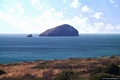 Sant’Antioco-La Vacca e il Vitello